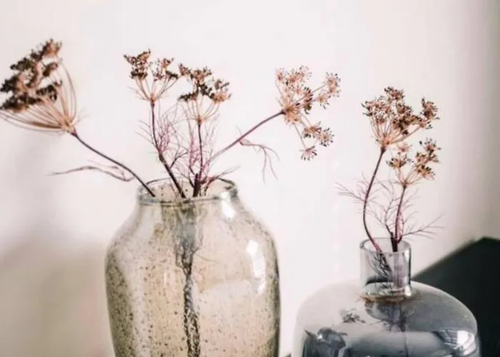 Center Poppodium 013 Stadsvilla Willa *