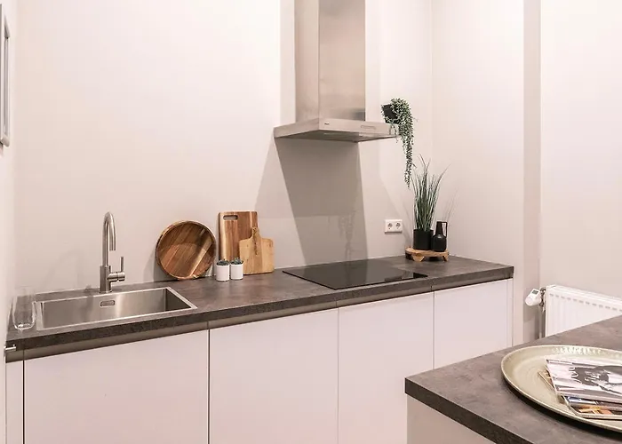 Center Poppodium 013 Stadsvilla Villa